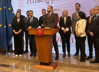 dps, sd, smjena andrije mandića, opoziicja, danilo mandić, parlament