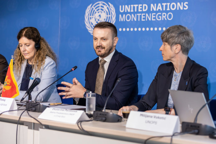 mmju, reforma javne uprave, maraš dukaj, undp