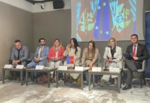 predrag zenovic, eu, crna gora, pregovori, poglavlja 23 i 24