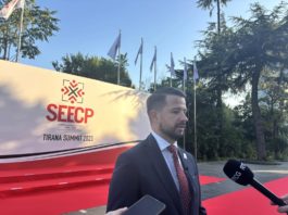 jakov milatovic, vladavina prava, ustavni sud, penzionisanje sudije, venecijanska komisija