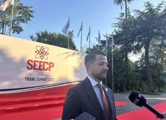 jakov milatovic, vladavina prava, ustavni sud, penzionisanje sudije, venecijanska komisija