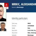međunarodna potjernica, Aleksandar Mrkić, uprava policije