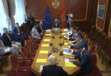 Odbor za međunarodne odnose i iseljenike, olivera injac, ambasadorka, belgija