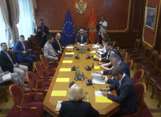 Odbor za međunarodne odnose i iseljenike, olivera injac, ambasadorka, belgija