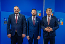 jakov milatovic, nato, idzvajanje, samir, bdp