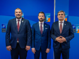 jakov milatovic, nato, idzvajanje, samir, bdp