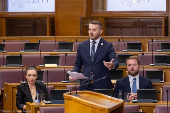 Izmjene zakona o državnim službenicima i namještenicima, maraš dukaj, skuppština, partijsko zapošljavanje