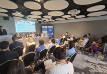 Ministarstvo energetike i rudarstva, zeleni vodonik, Program razvoja zelenog vodonika