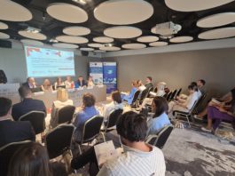 Ministarstvo energetike i rudarstva, zeleni vodonik, Program razvoja zelenog vodonika