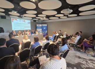 Ministarstvo energetike i rudarstva, zeleni vodonik, Program razvoja zelenog vodonika