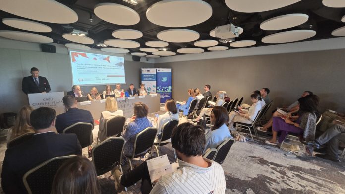 Ministarstvo energetike i rudarstva, zeleni vodonik, Program razvoja zelenog vodonika